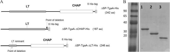 FIG 3