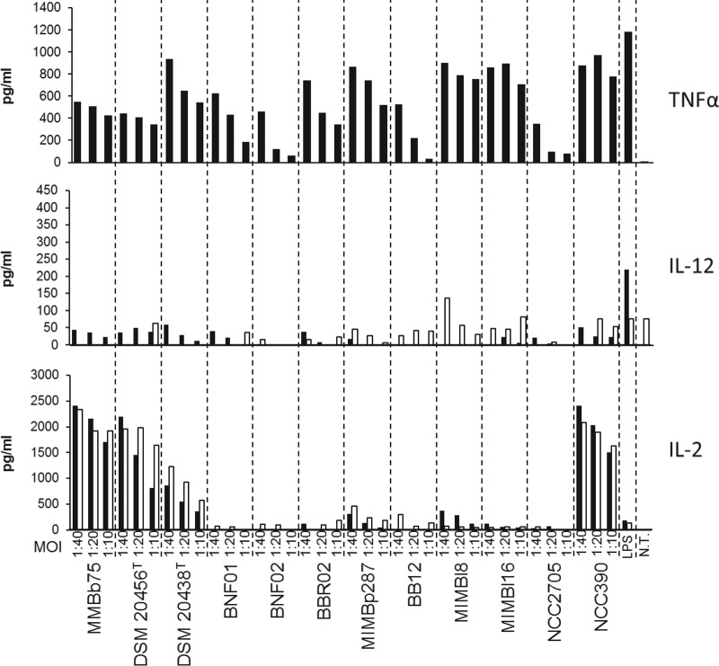 FIG 1