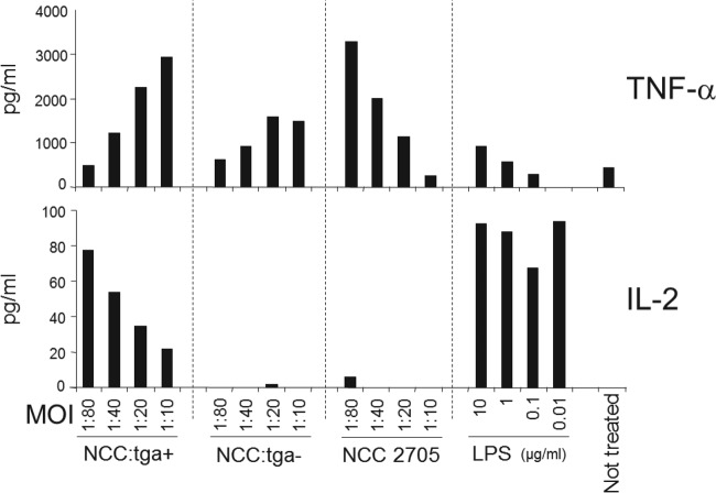 FIG 2