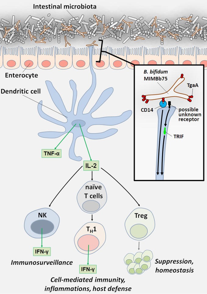 FIG 6