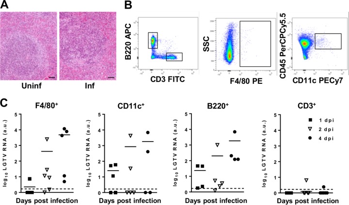 FIG 4