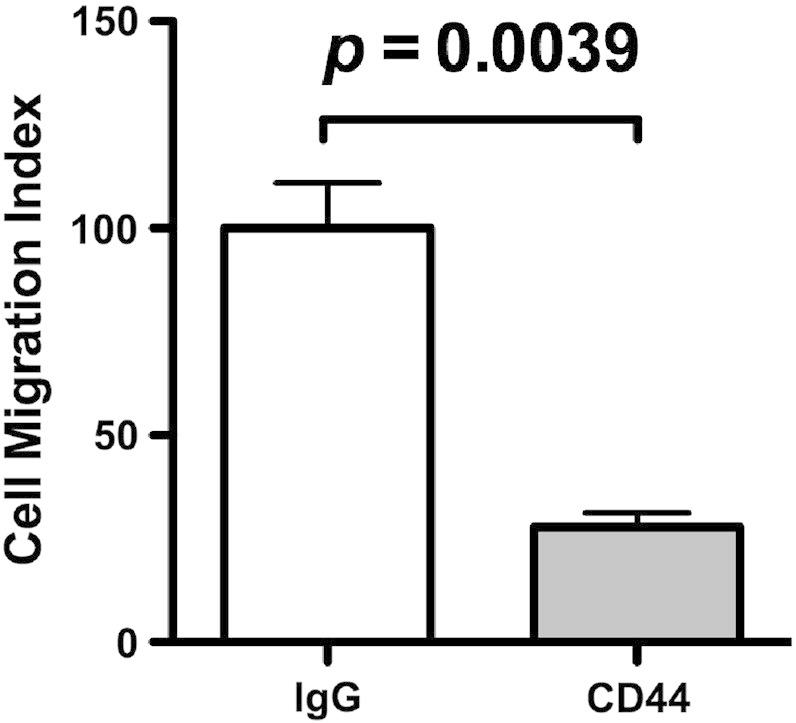 Fig. S1