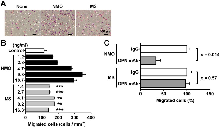 Fig. 4