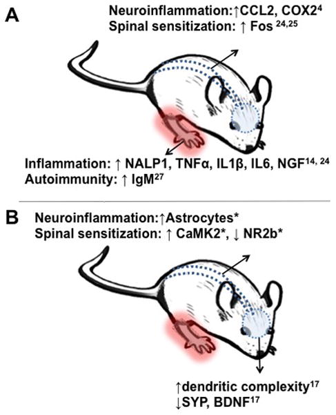 Fig. 9