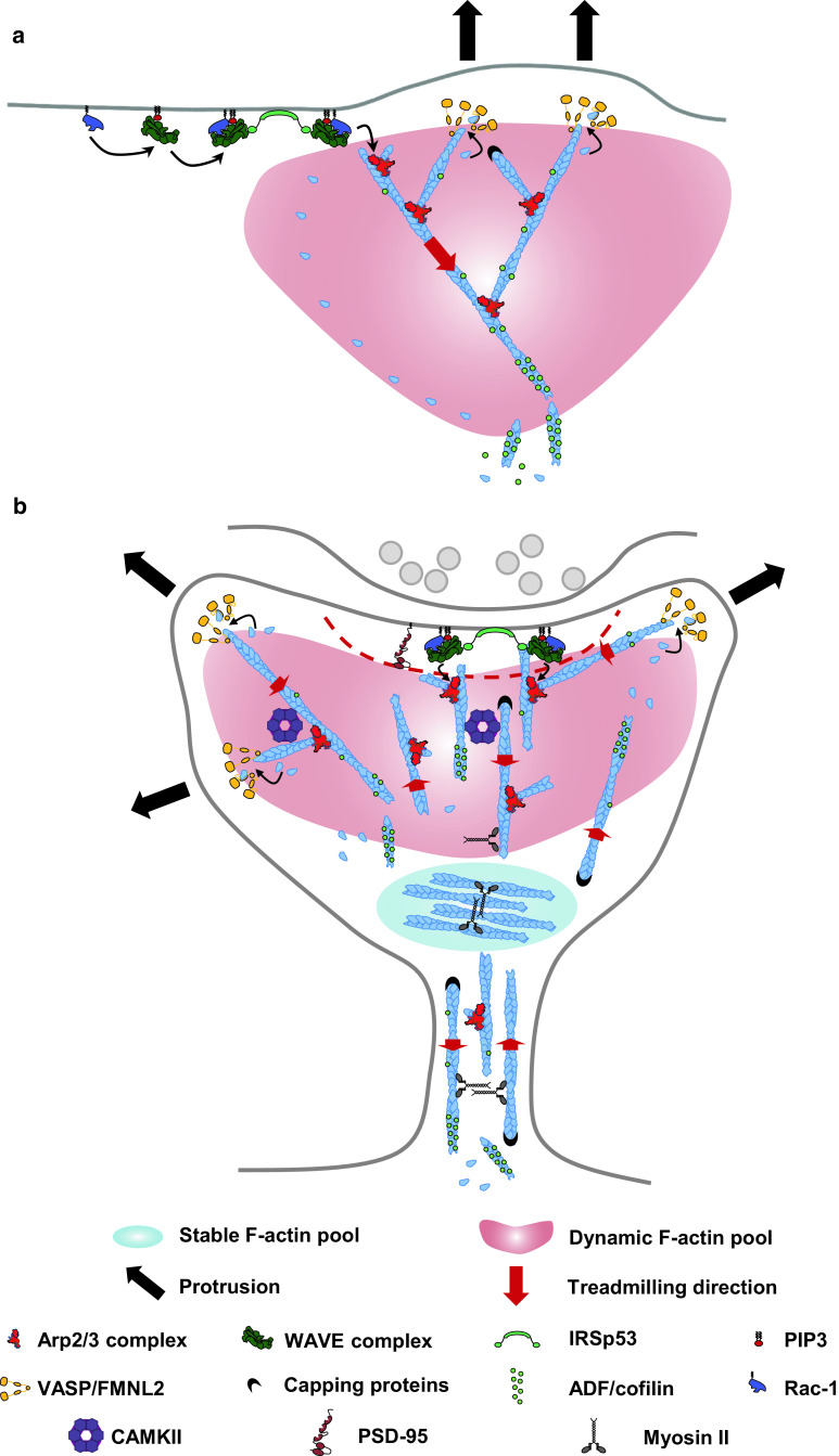 Fig. 1