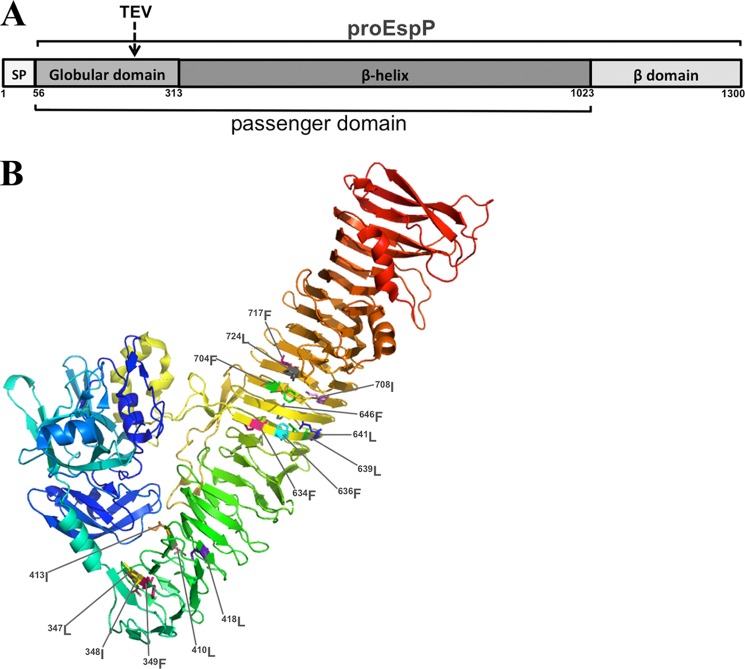 FIGURE 1.