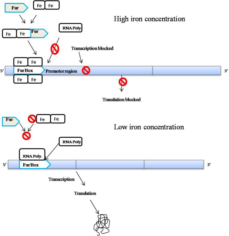 Fig. 6