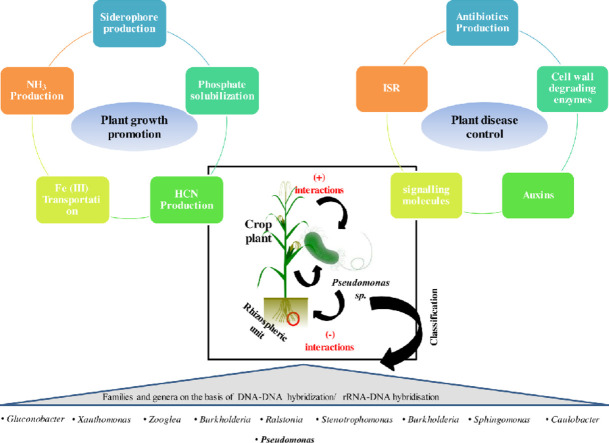 Image, graphical abstract