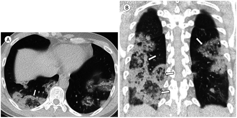 Fig. 5