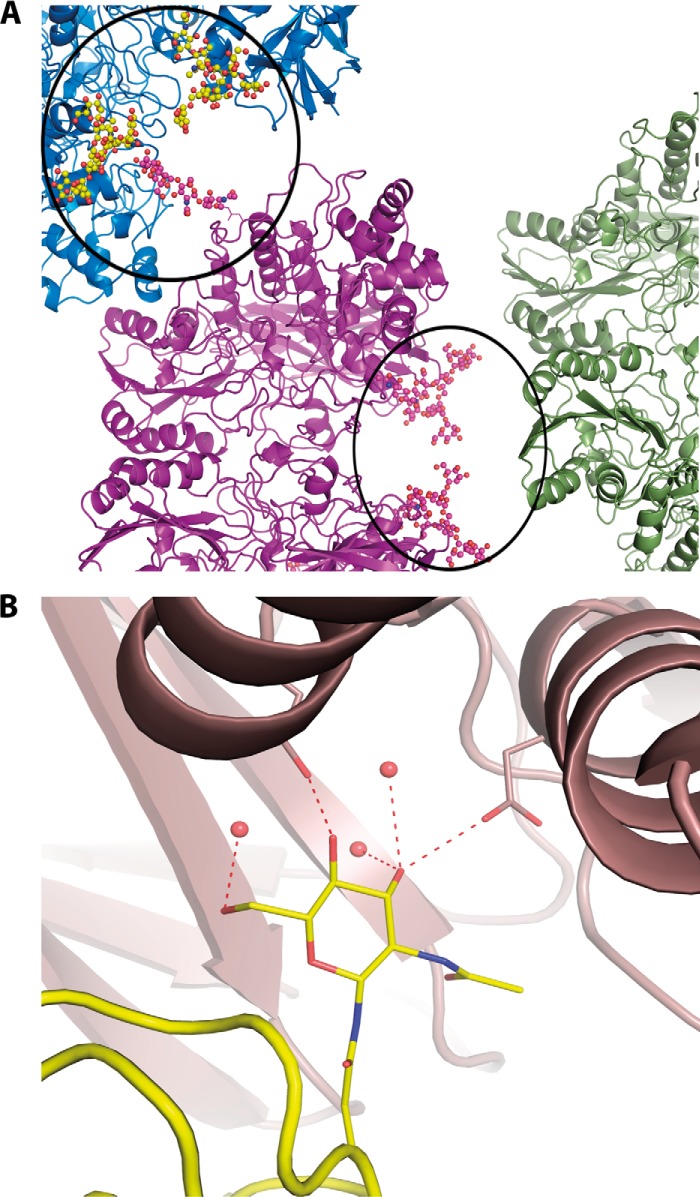 FIGURE 7.