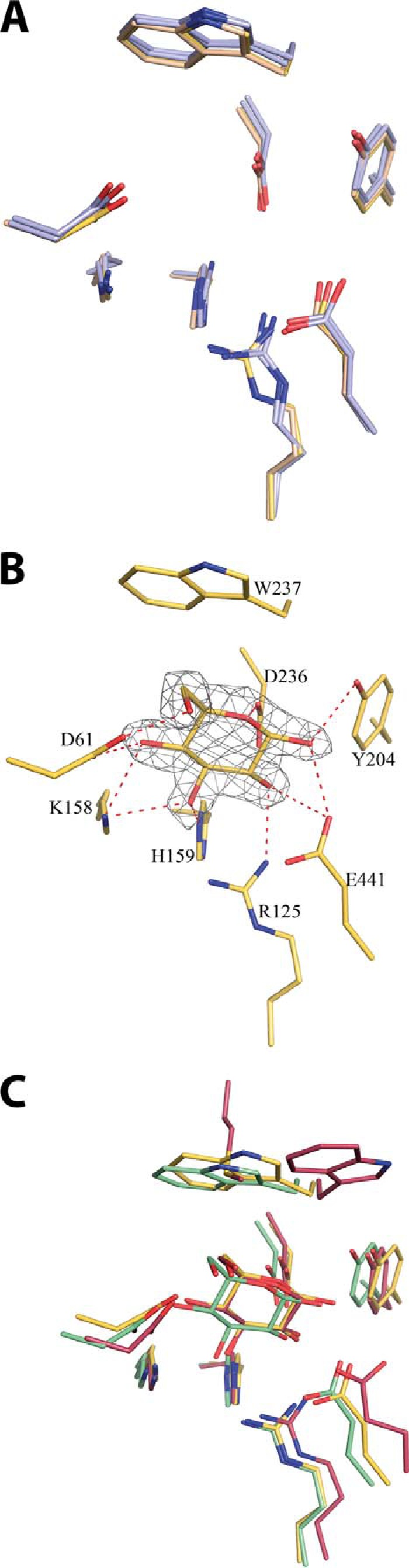 FIGURE 4.