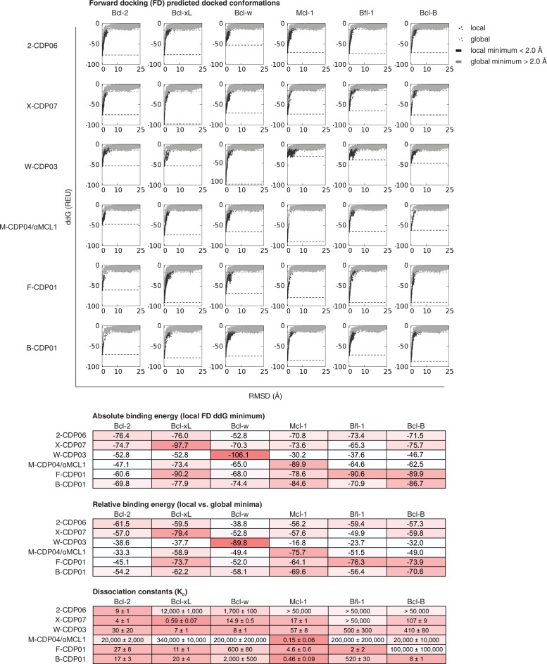 Figure 5—figure supplement 2.