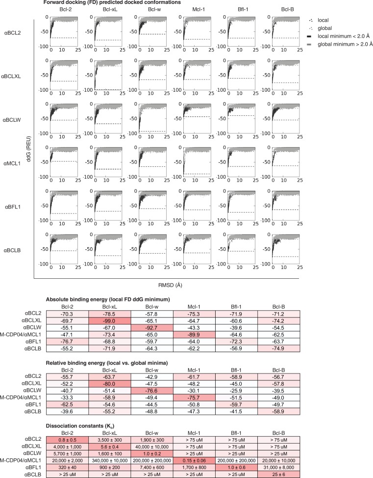 Figure 5—figure supplement 3.