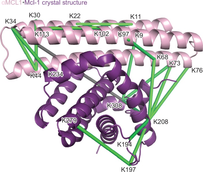 Figure 3—figure supplement 1.