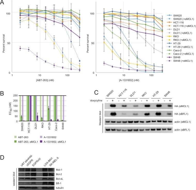 Figure 9—figure supplement 1.