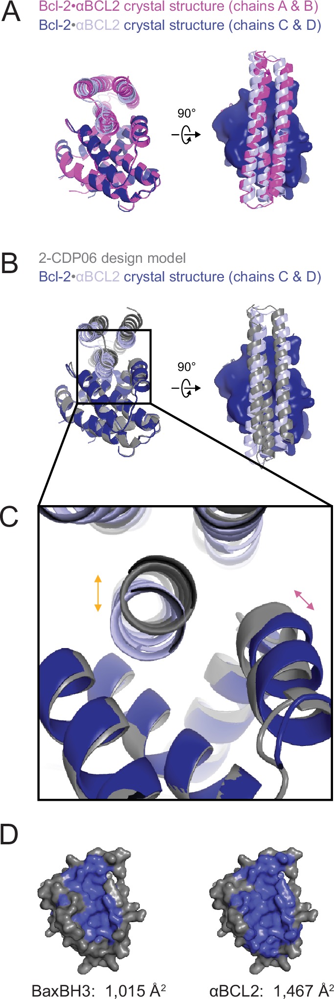 Figure 6—figure supplement 1.