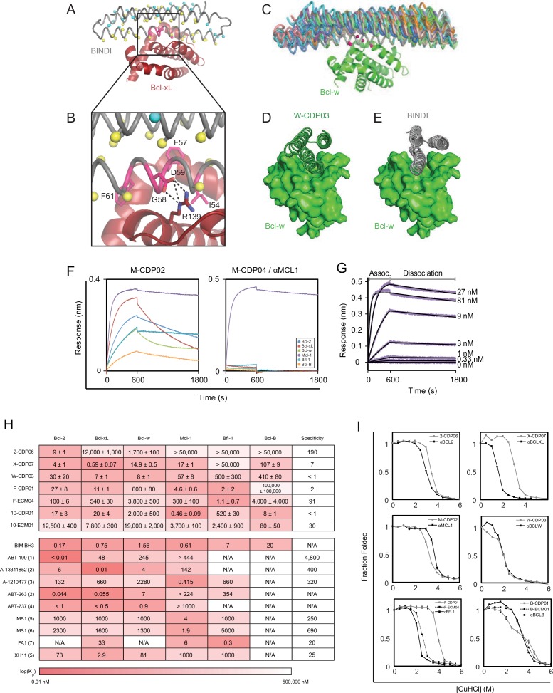 Figure 2—figure supplement 1.