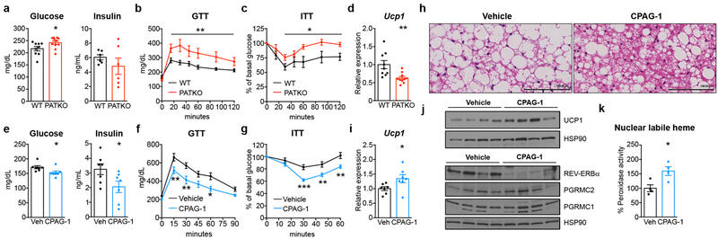 Fig. 4 |