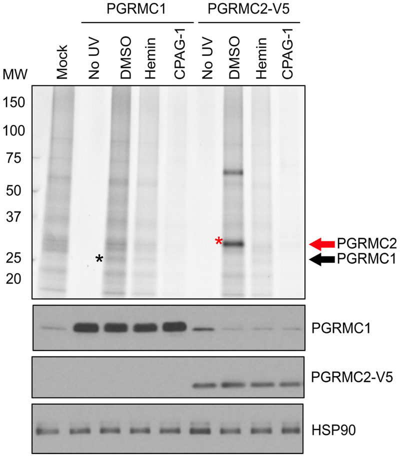 Extended Data Fig. 9 |