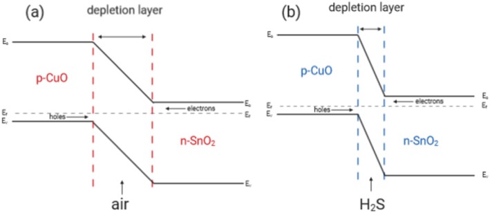 Fig. 9