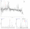 Fig. 7