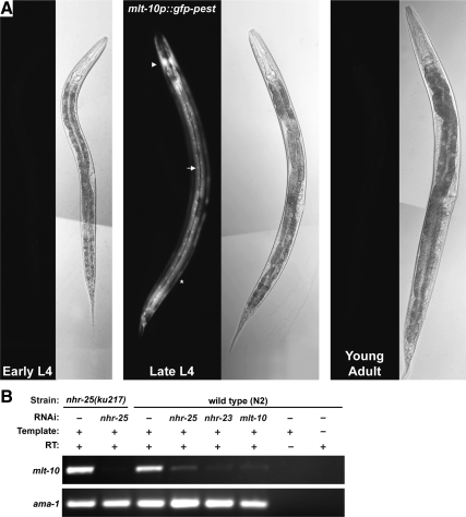 Figure 4.