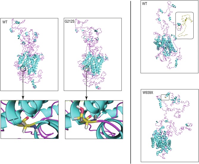 Fig. 3