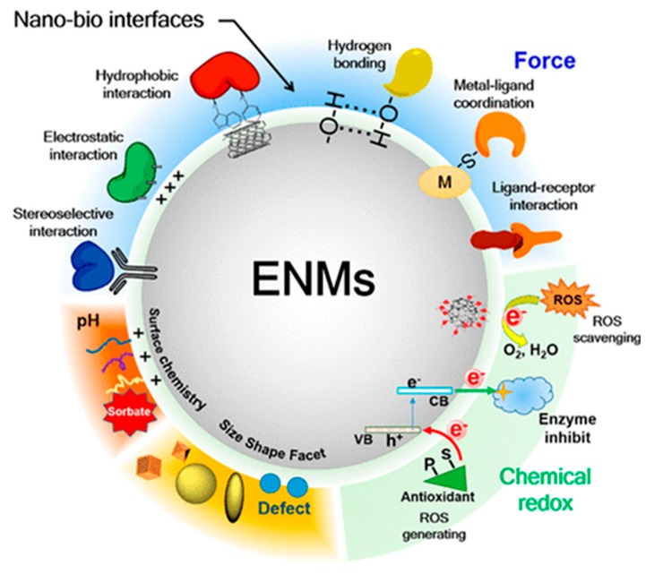 Figure 42