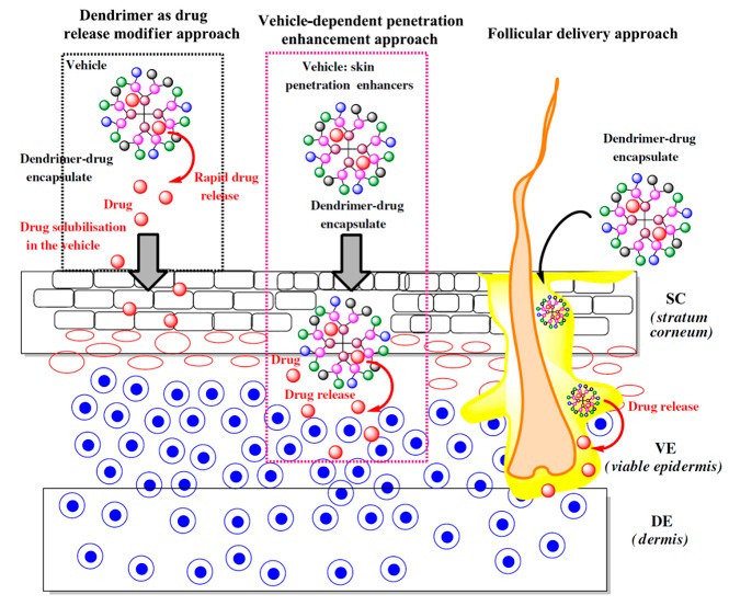 Figure 41