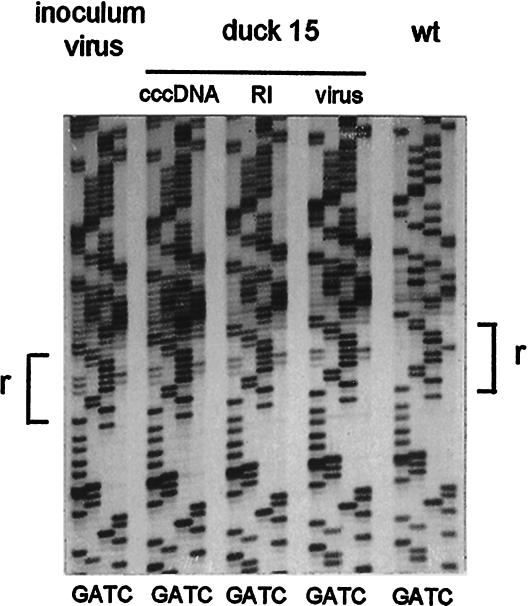 FIG. 6