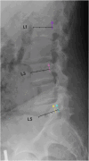Fig. 2