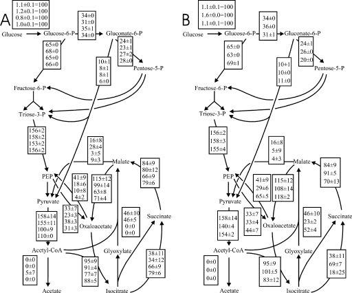 FIG. 4.