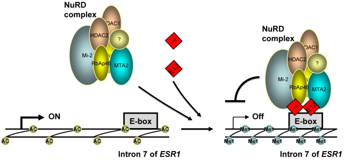 Fig 6