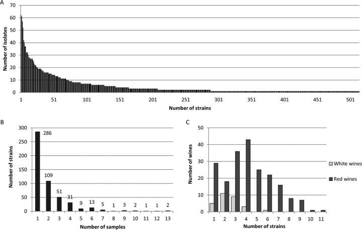 FIG 1