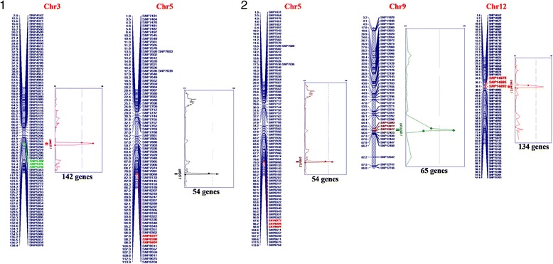 Fig.4