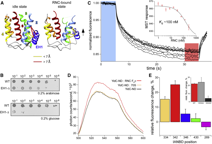 Figure 6