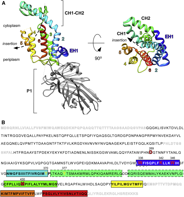 Figure 1