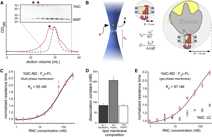 Figure 2