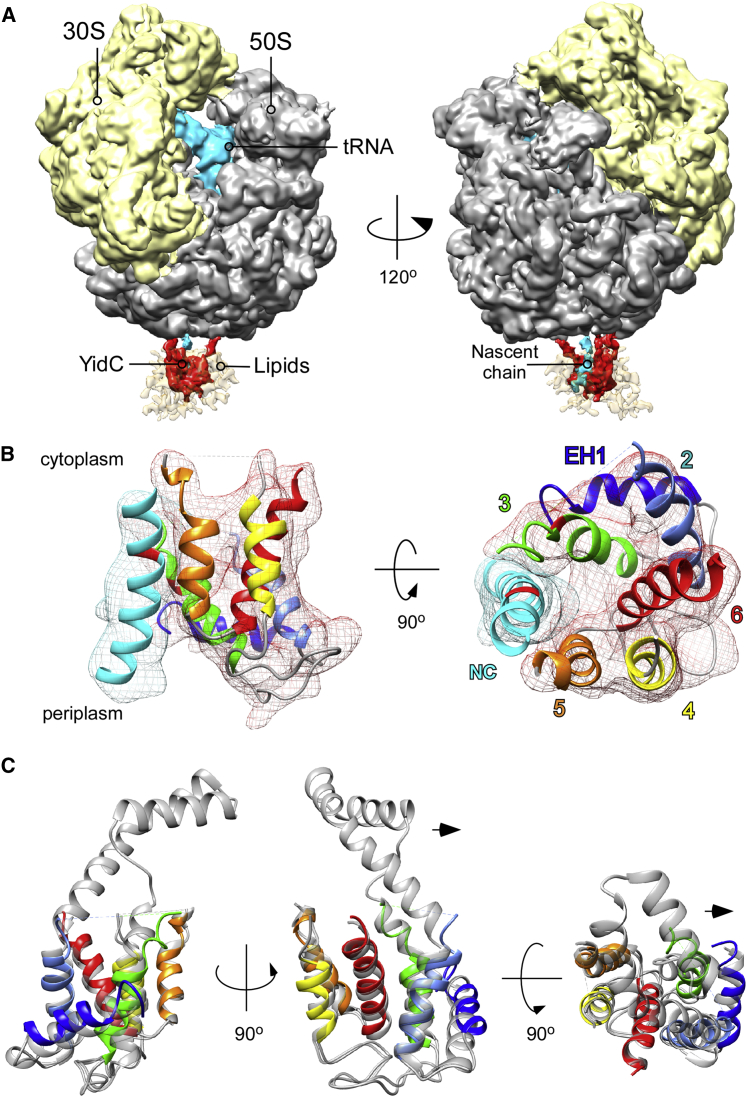 Figure 5