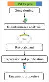 Figure 1.