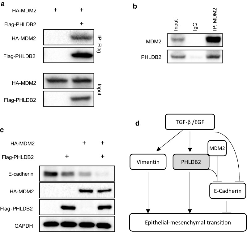 Fig. 6