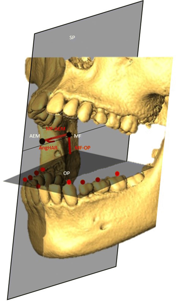 Fig. 2