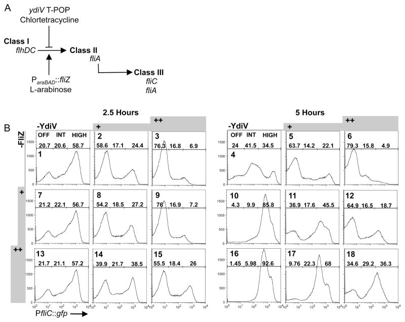 Figure 5