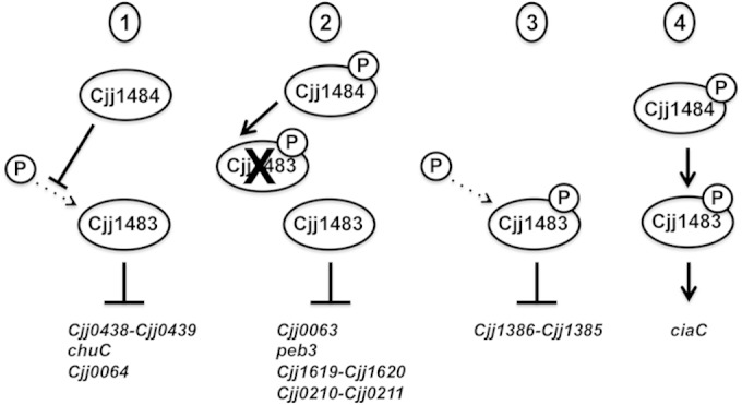 FIG 9