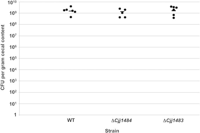 FIG 2