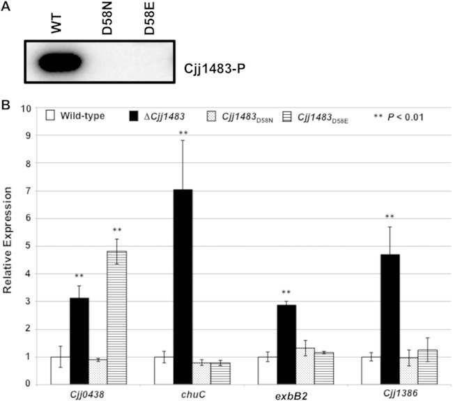 FIG 6