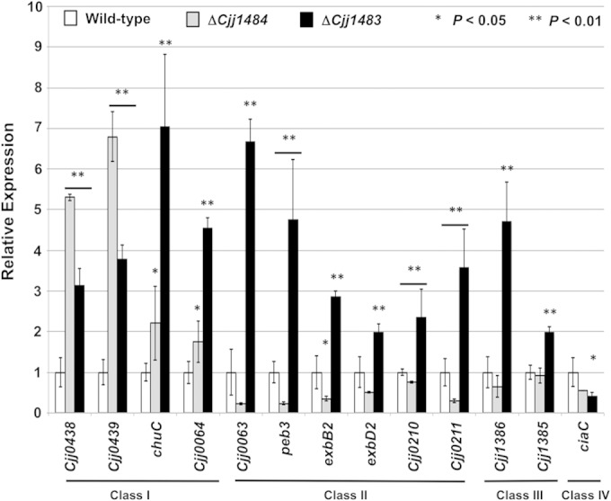 FIG 3