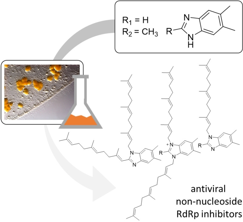 graphic file with name CHEM-28-0-g002.jpg