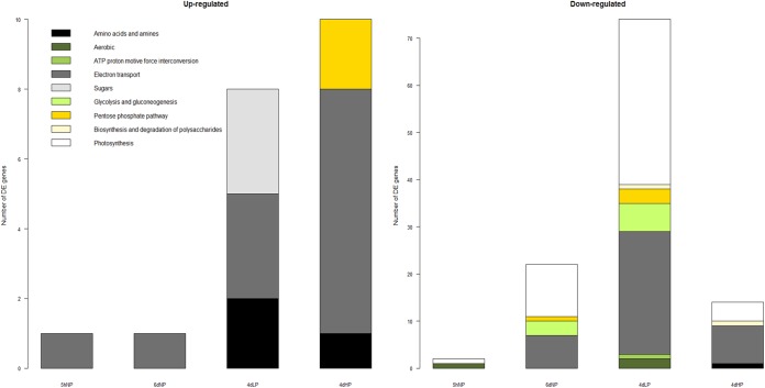 FIG 4