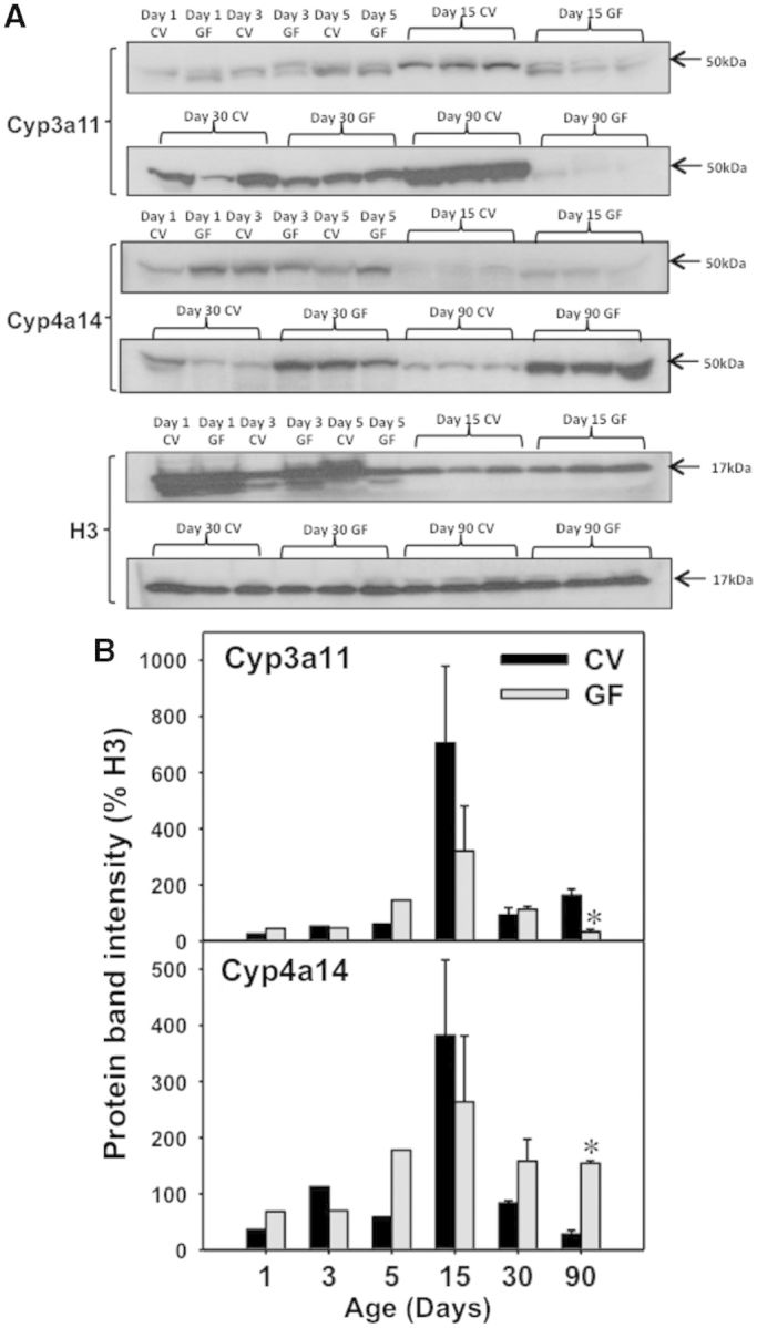 FIG. 9.